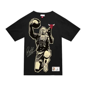 Blockbuster Player Tee Chicago Bulls